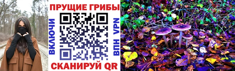 Галлюциногенные грибы GOLDEN TEACHER  hydra как зайти  Волоколамск 